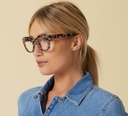 Center Stage Focus - Gray Tortoise